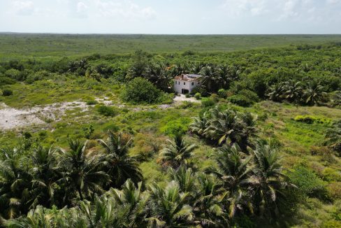 DJI_0616