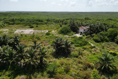 DJI_0617