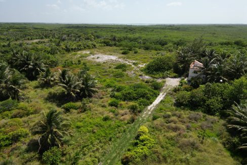 DJI_0618