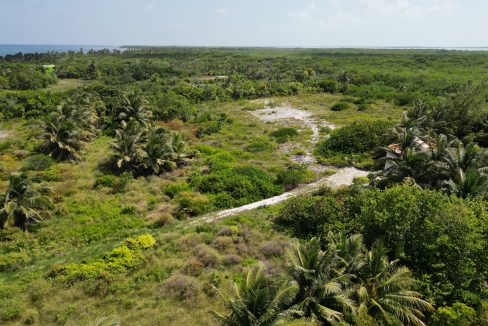 DJI_0619