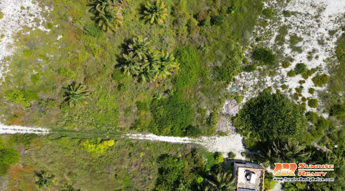 DJI_0620