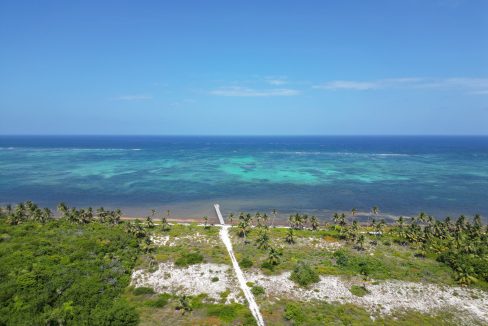 DJI_0625
