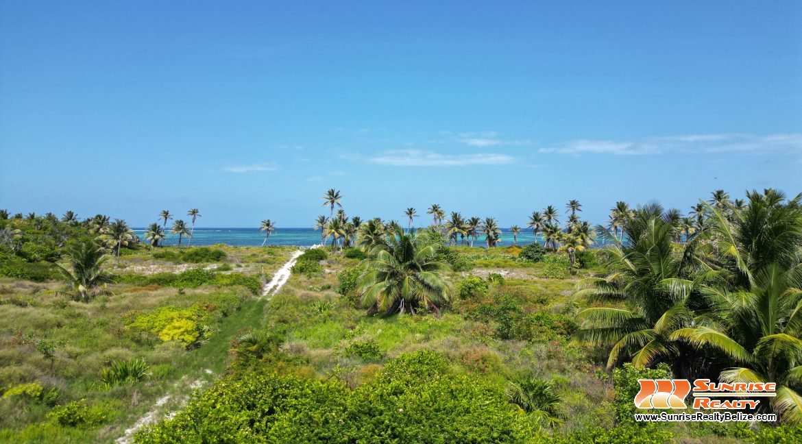 DJI_0626