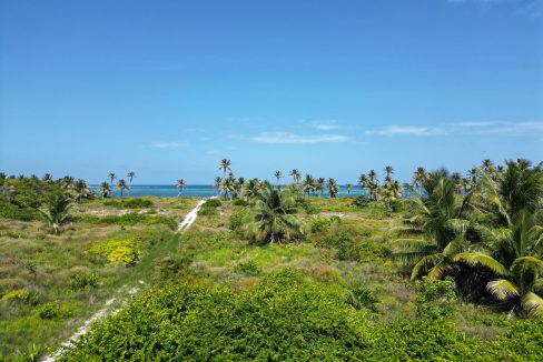 DJI_0626