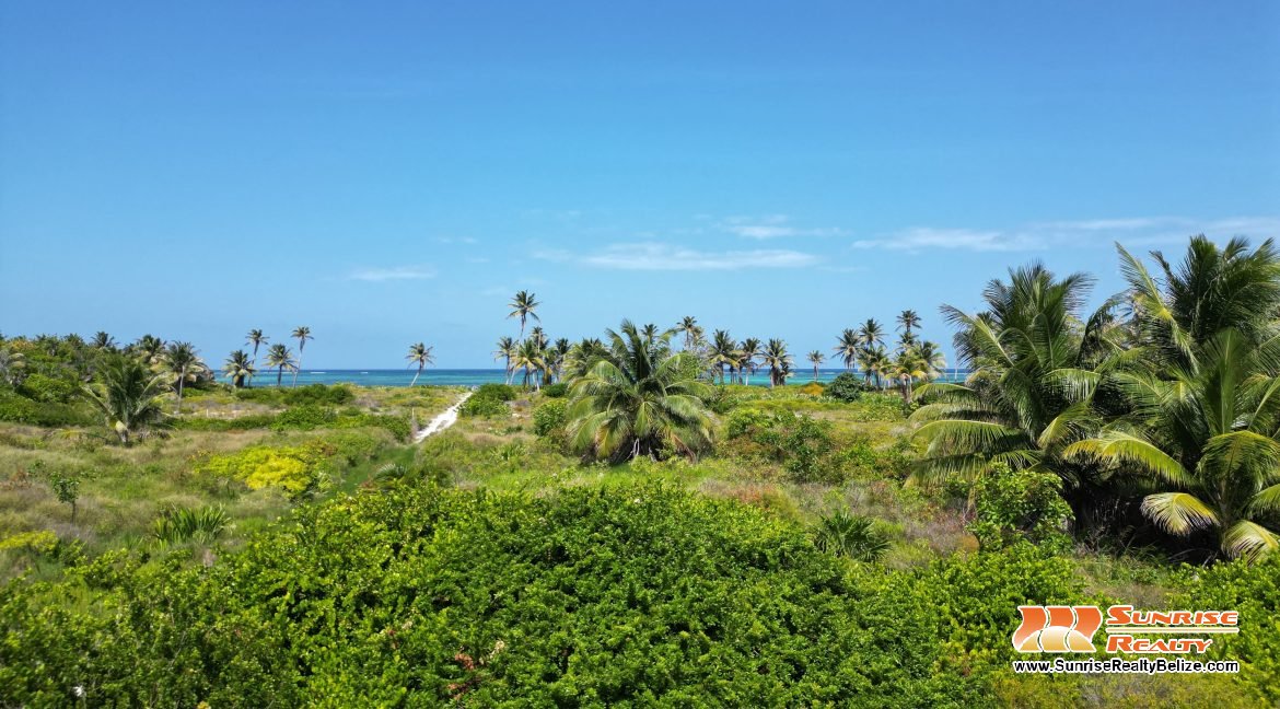 DJI_0627