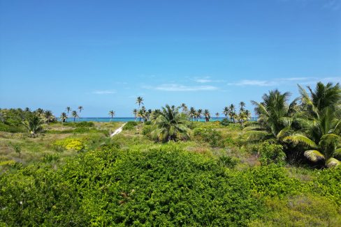 DJI_0627
