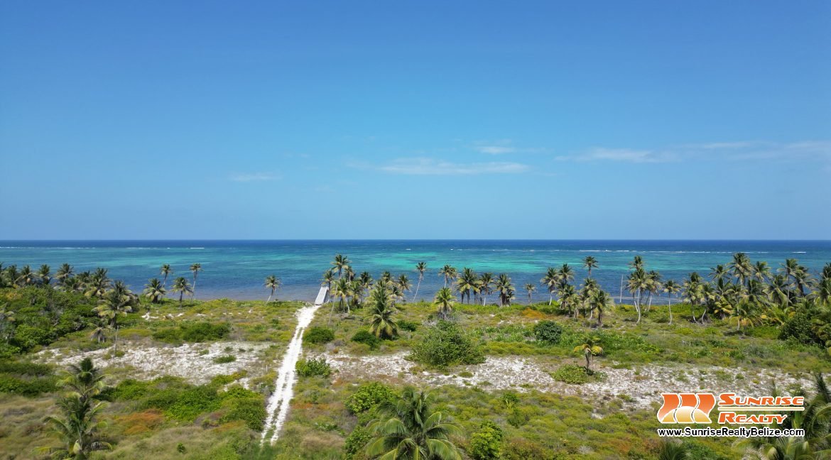 DJI_0628