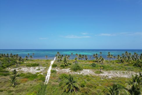 DJI_0628