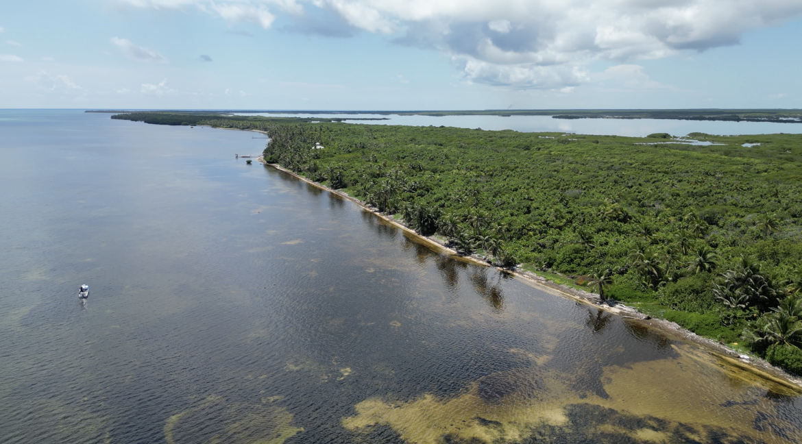 Palm bay Lot 5-113