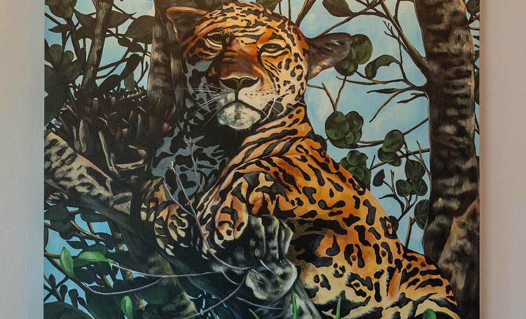 casita-playa-del-parque-2026-21