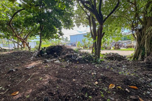 parcel-351-alta-mar-area-01