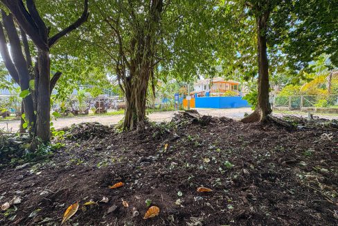 parcel-351-alta-mar-area-02