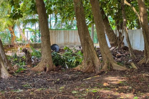 parcel-351-alta-mar-area-04