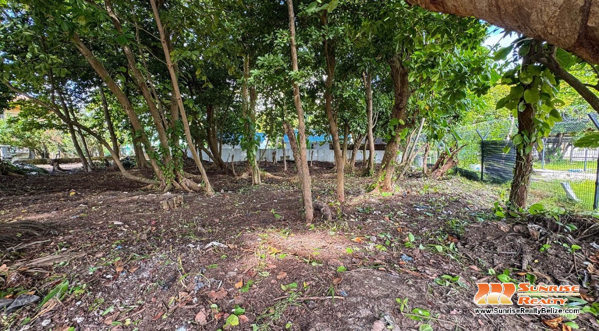 parcel-351-alta-mar-area-05