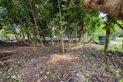 parcel-351-alta-mar-area-05