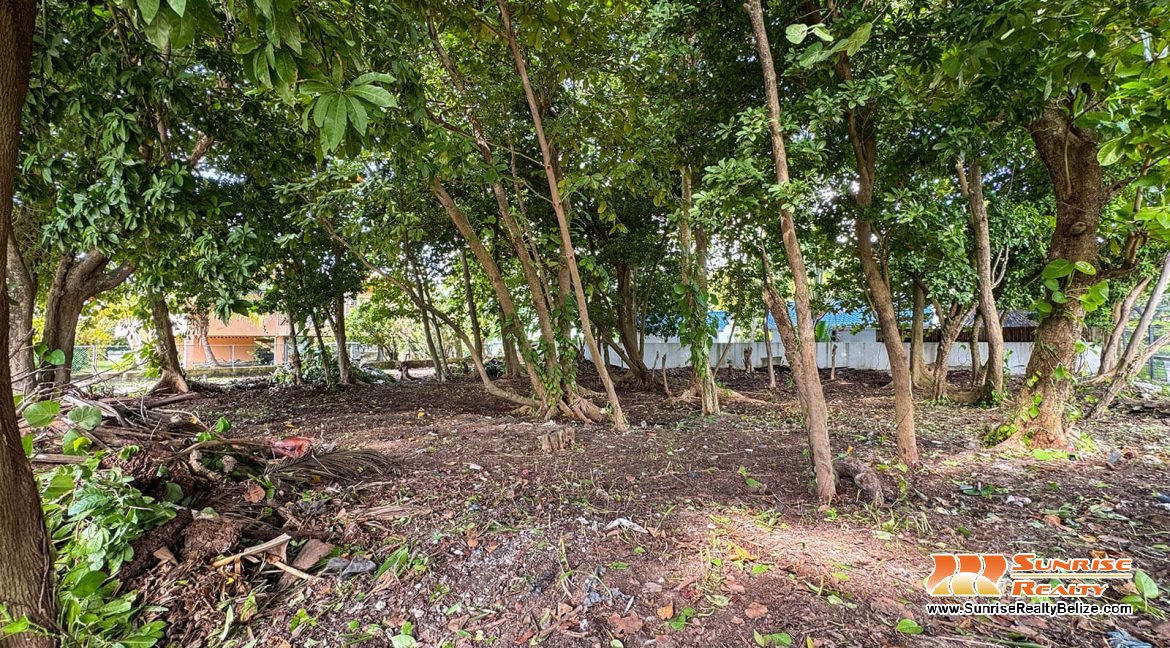 parcel-351-alta-mar-area-06