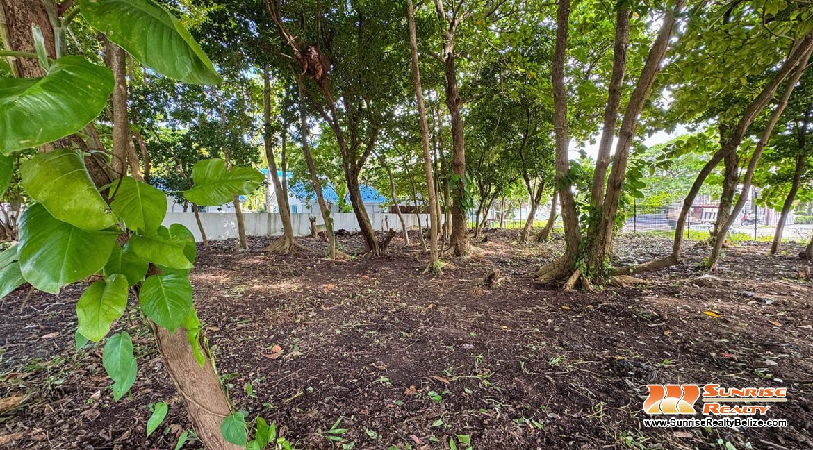 parcel-351-alta-mar-area-07