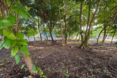 parcel-351-alta-mar-area-07