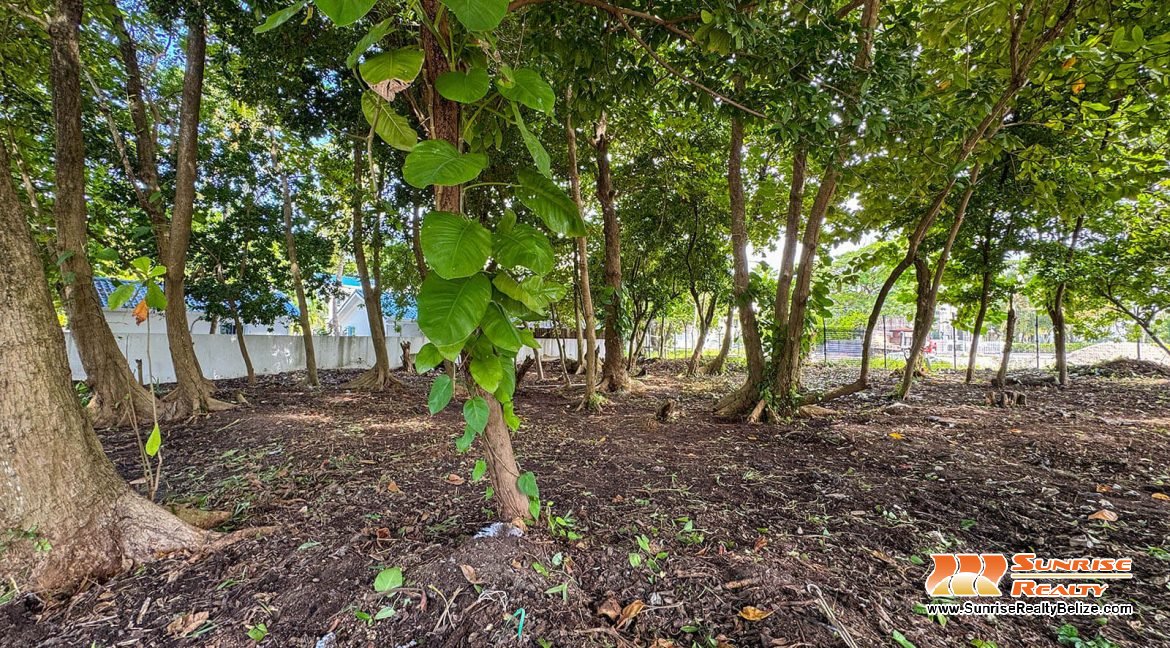 parcel-351-alta-mar-area-08