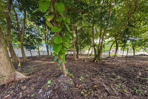 parcel-351-alta-mar-area-08