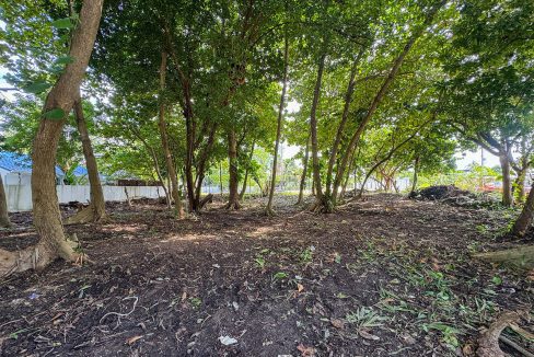 parcel-351-alta-mar-area-09