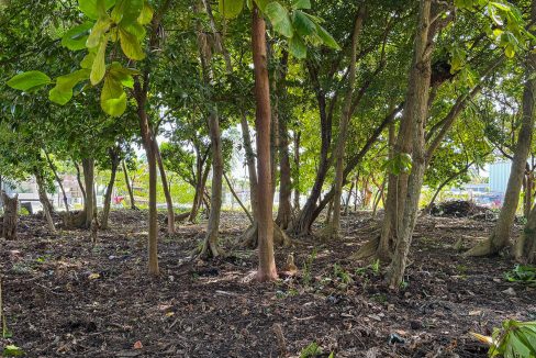 parcel-351-alta-mar-area-10