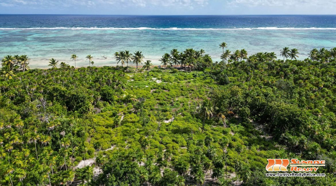 robles-6a-parcels-10121-10118-01