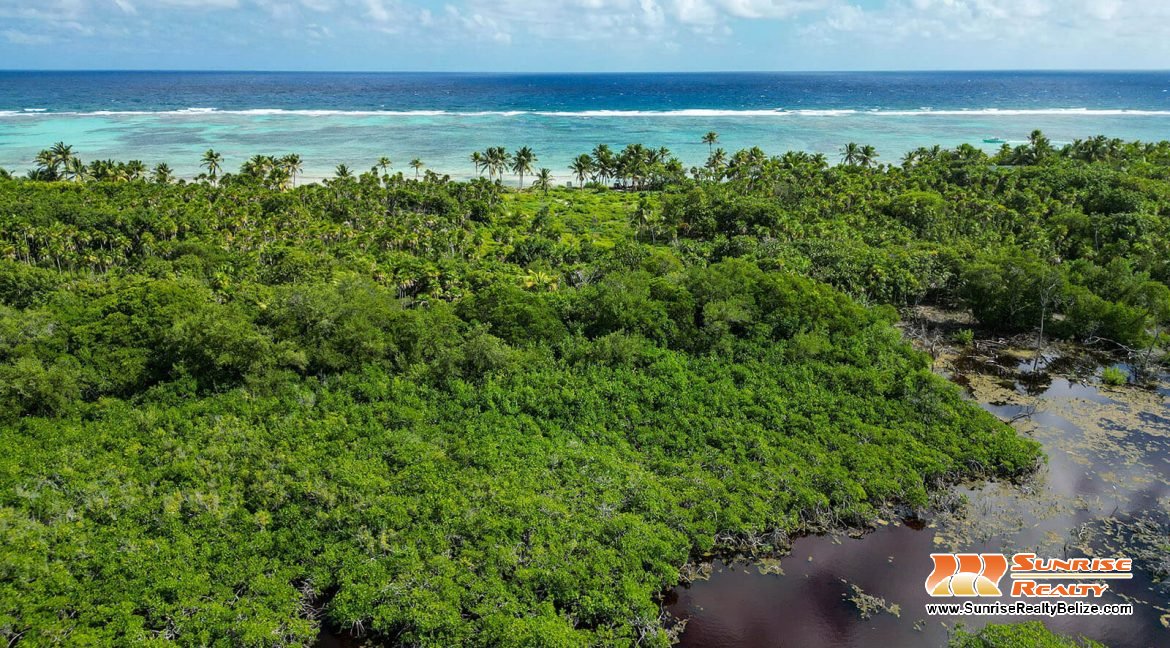 robles-6a-parcels-10121-10118-04