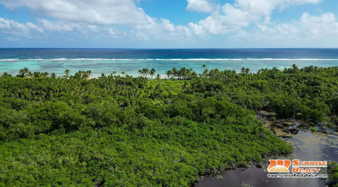 robles-6a-parcels-10121-10118-05