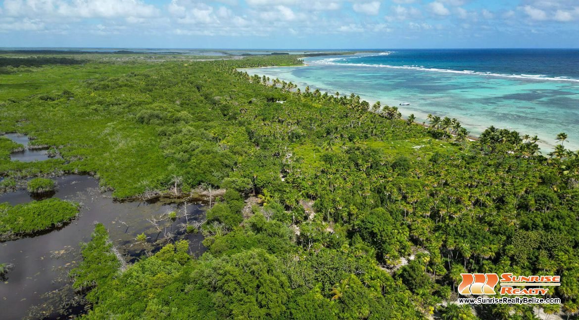 robles-6a-parcels-10121-10118-11