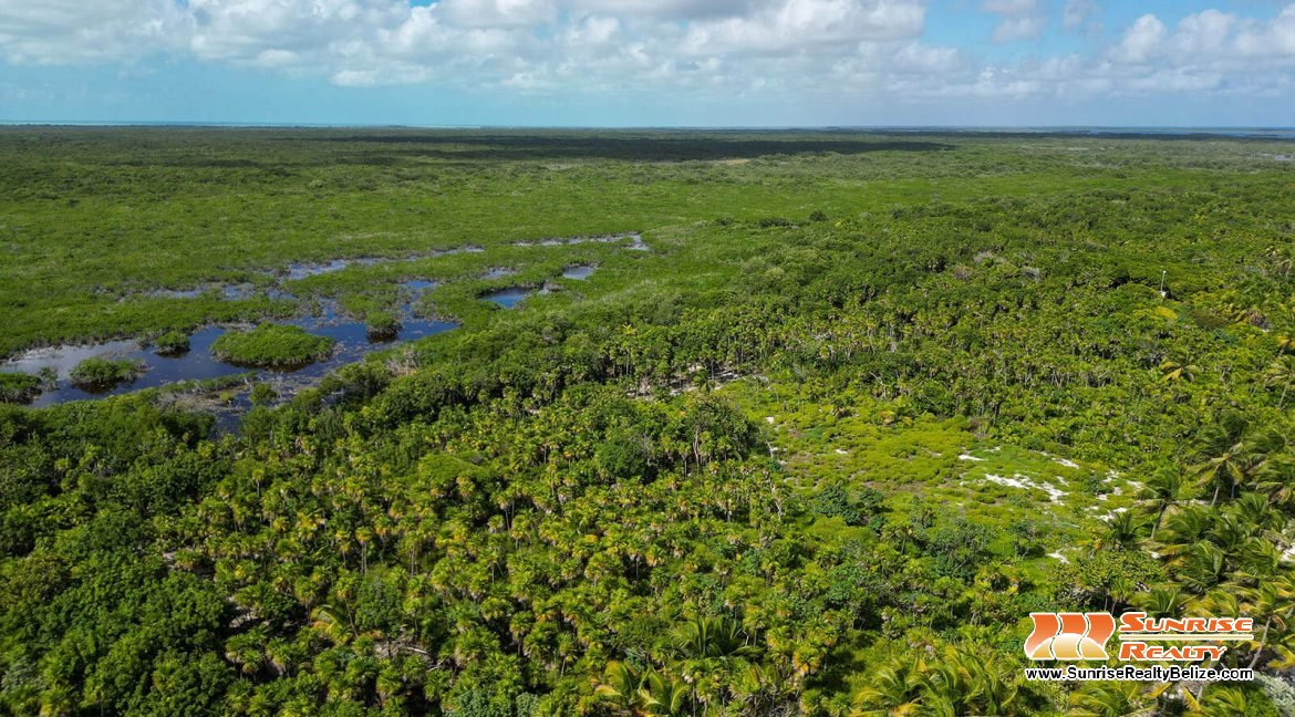 robles-6a-parcels-10121-10118-18