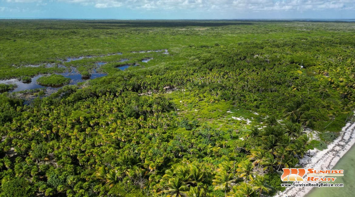 robles-6a-parcels-10121-10118-19