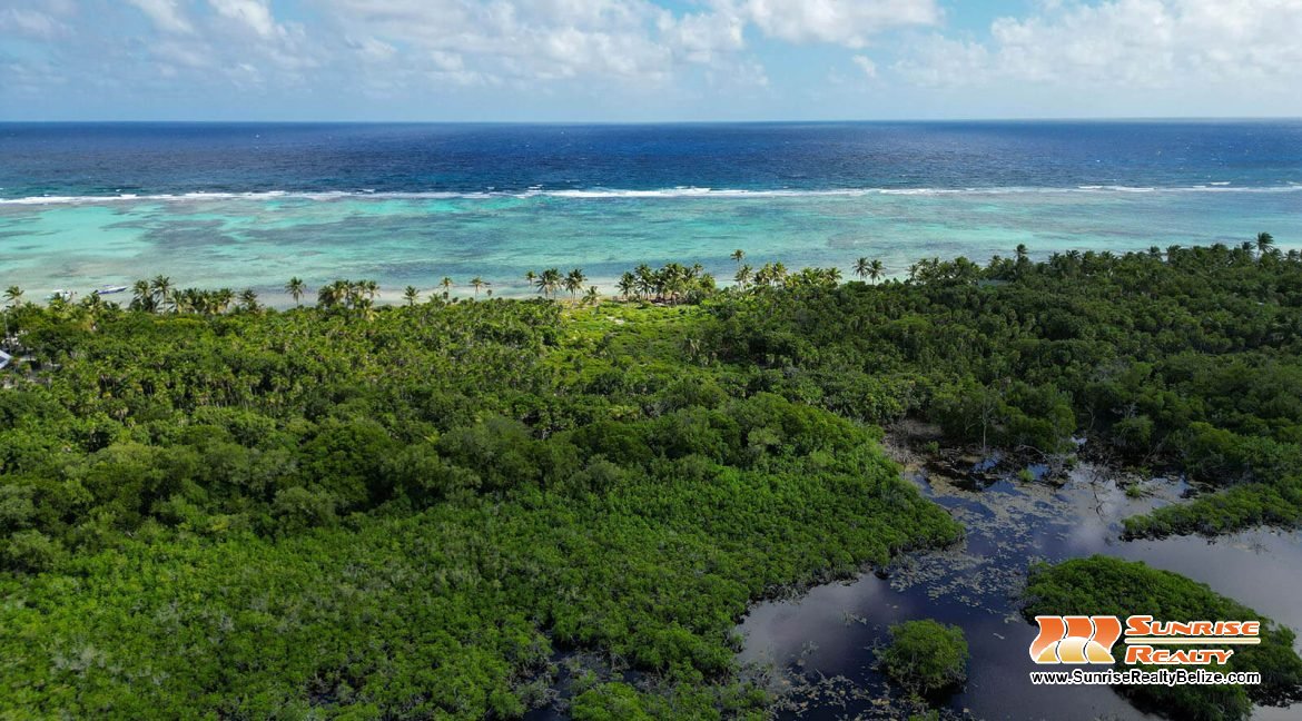 robles-6a-parcels-10121-10118-31