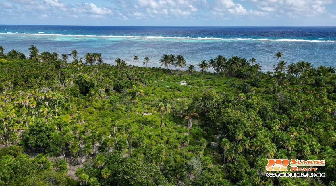 robles-6a-parcels-10121-10118-33