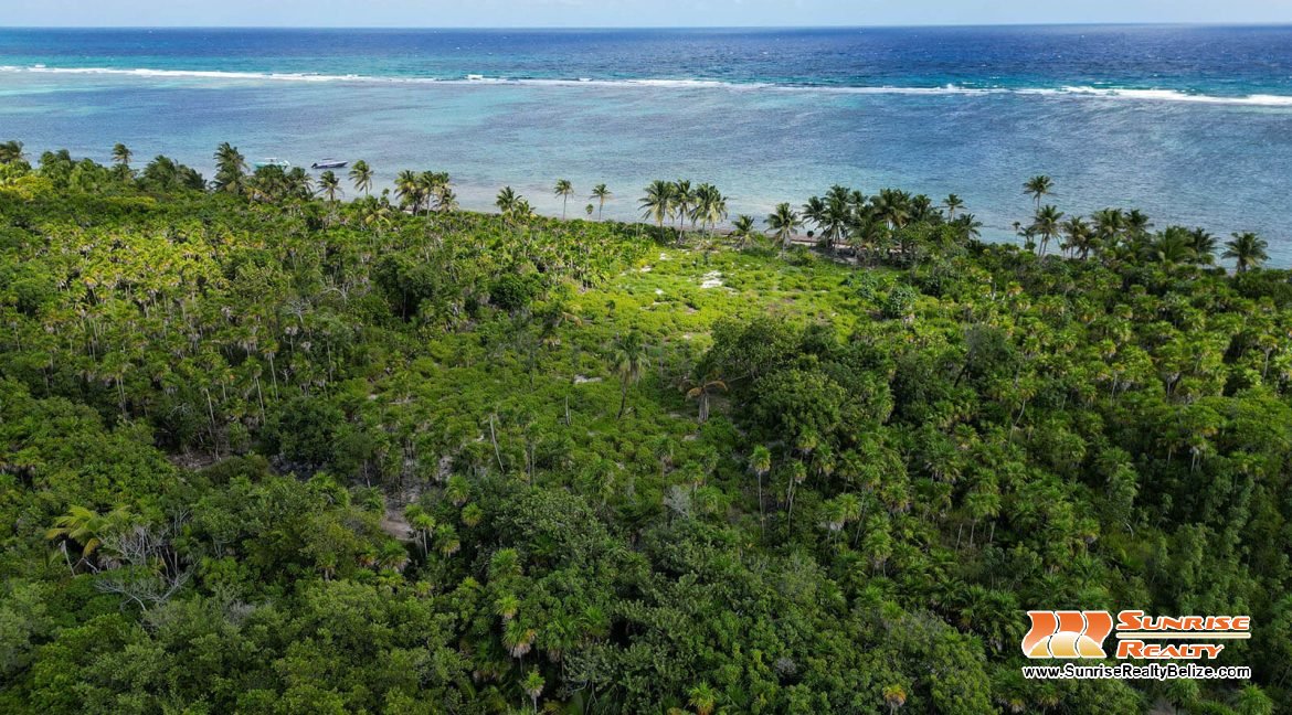 robles-6a-parcels-10121-10118-40