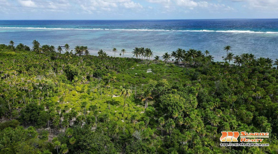 robles-6a-parcels-10121-10118-41